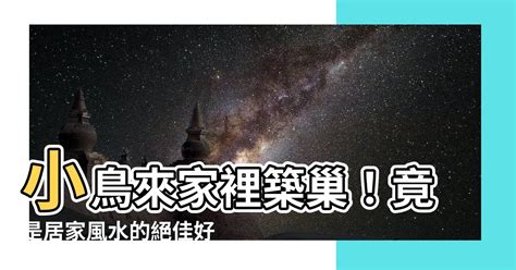 小鳥來家裡|【鳥來家裡】「家中突然來了一隻鳥，你知道它帶來了。